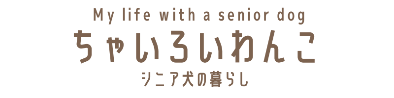 ちゃいろいわんこシニア犬の暮らし